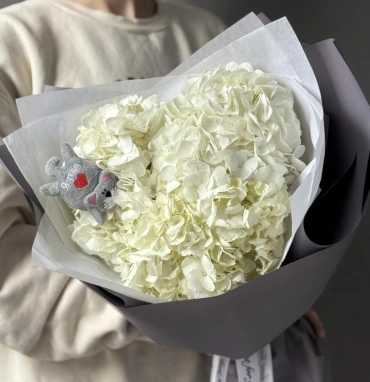 Облако гортензии с котиком