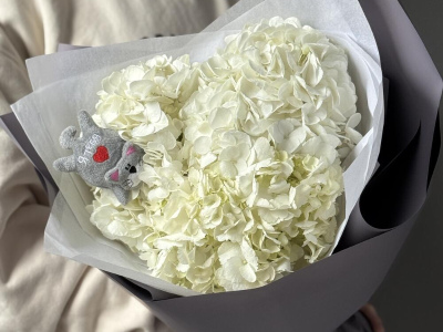 Облако гортензии с котиком