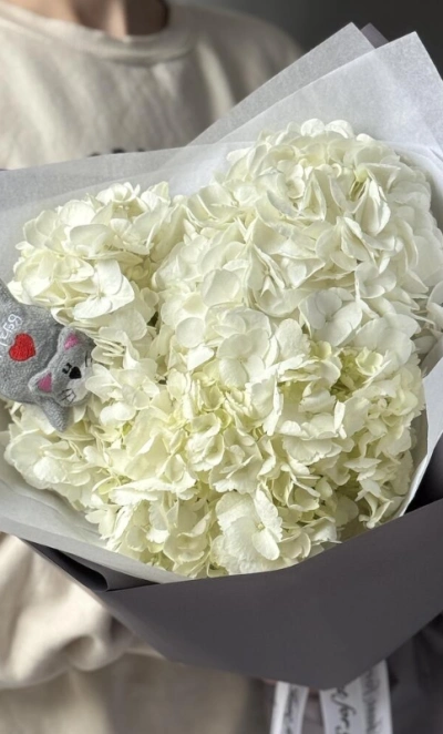 Облако гортензии с котиком