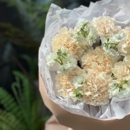 Диатусы и белая маттиола 3