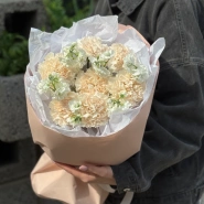 Диатусы и белая маттиола 1