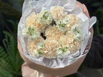 Диатусы и белая маттиола