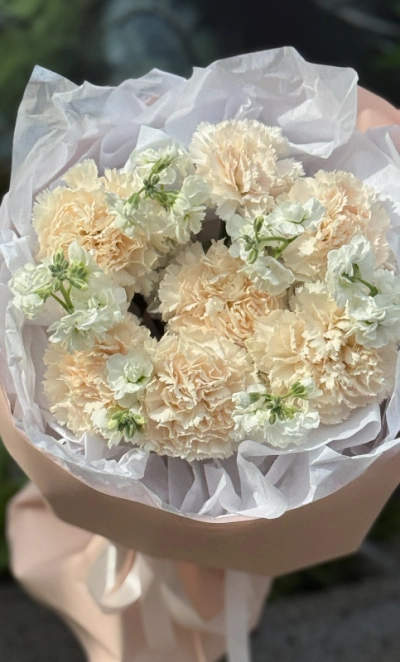 Диатусы и белая маттиола