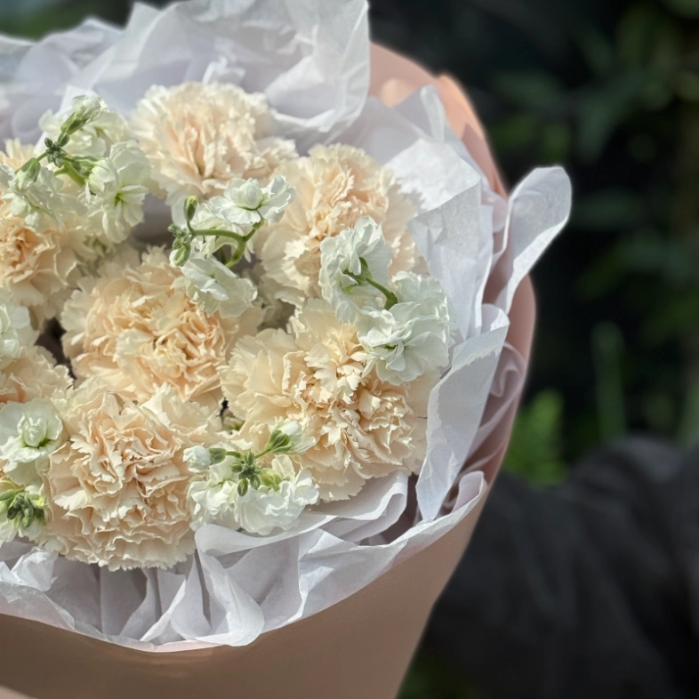 Диатусы и белая маттиола