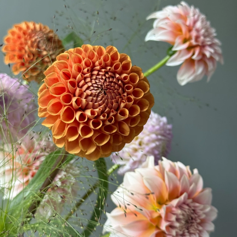 Моно букет с георгинами