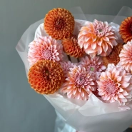 Моно осенних георгинов 1