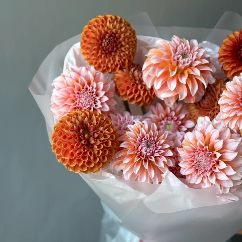 Моно осенних георгинов