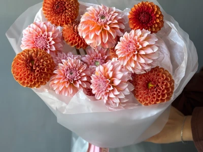 Моно осенних георгинов