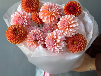 Моно осенних георгинов