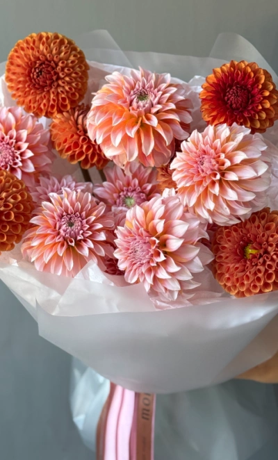 Моно осенних георгинов