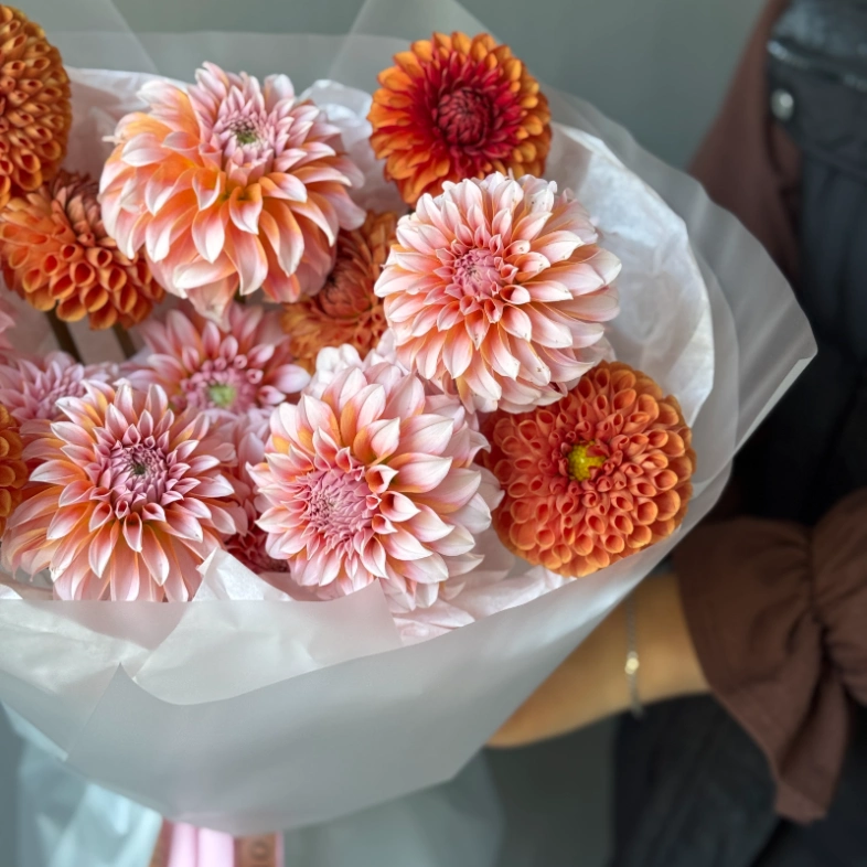 Моно осенних георгинов