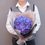 Гортензия «фиалка» в стильной упаковке 0