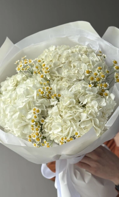 «Летнее небо» с ромашками и гортензиями