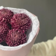 Сезонная хризантема бигуди Purple 3