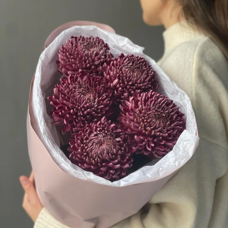 Сезонная хризантема бигуди Purple