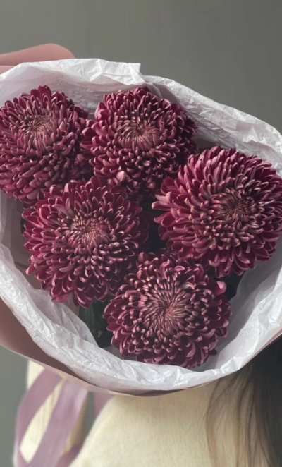 Сезонная хризантема бигуди Purple