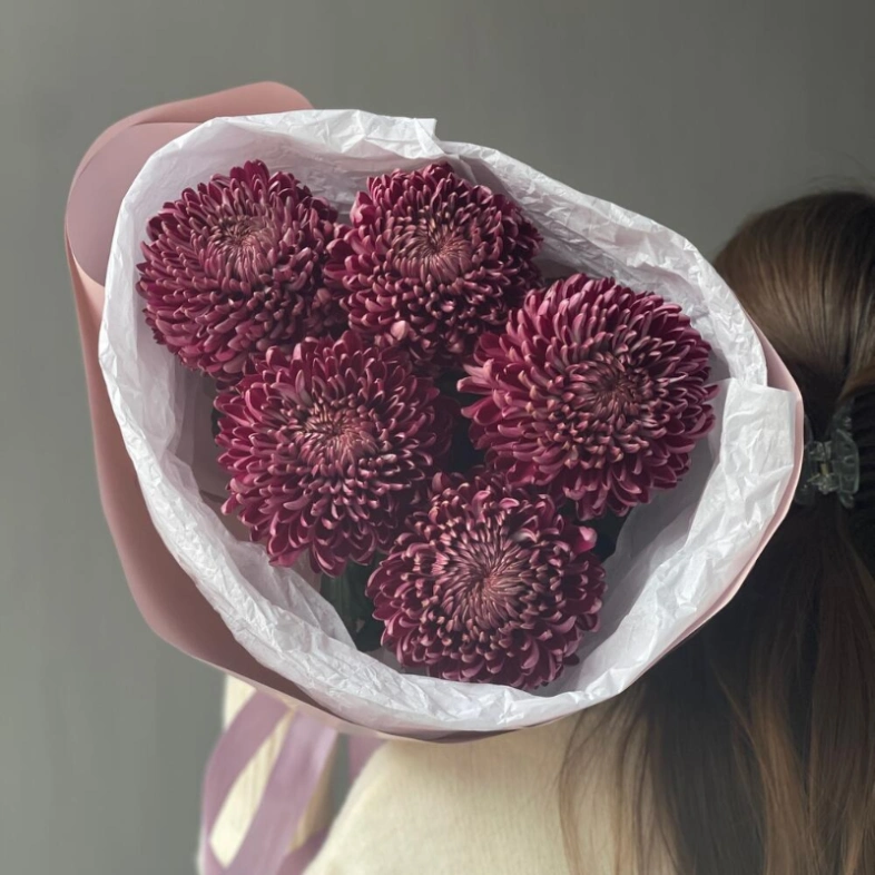 Сезонная хризантема бигуди Purple