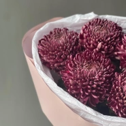 Сезонная хризантема бигуди Purple 2