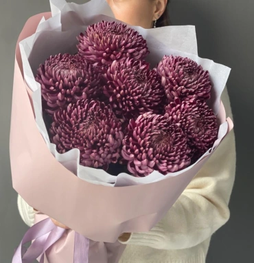 Хризантема бигуди Purple
