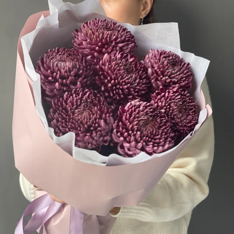 Хризантема бигуди Purple