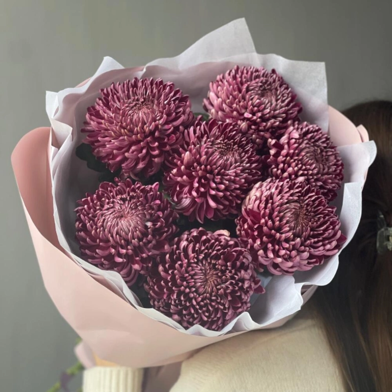 Хризантема бигуди Purple