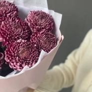 Хризантема бигуди Purple 4