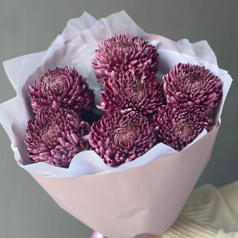 Хризантема бигуди Purple