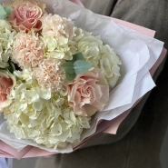 Гортензия белая с пудровыми цветами 3