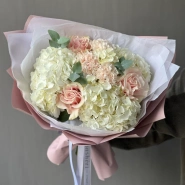 Гортензия белая с пудровыми цветами 1