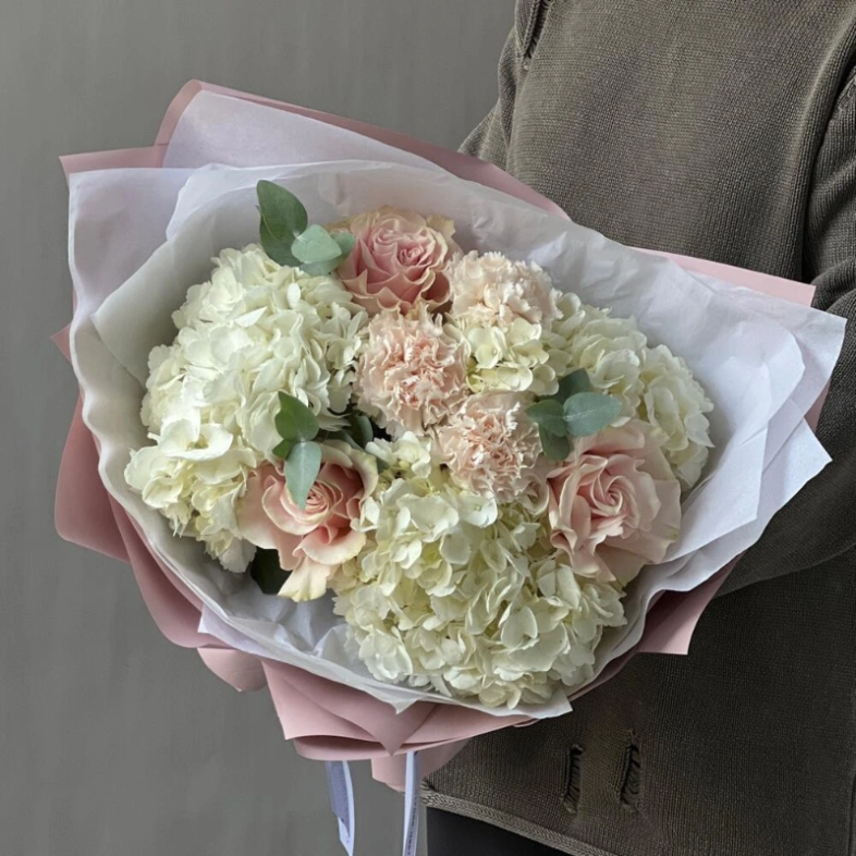 Гортензия белая с пудровыми цветами