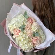 Гортензия белая с пудровыми цветами 0