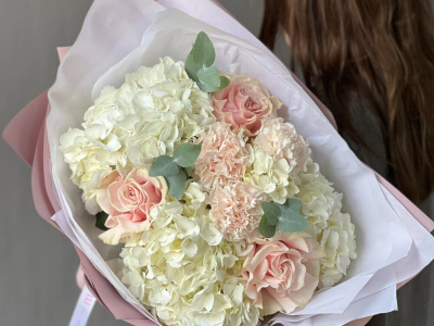 Гортензия белая с пудровыми цветами