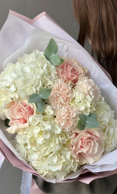 Гортензия белая с пудровыми цветами