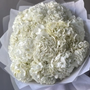 Букет «Облако белая гортензия» 15шт 0