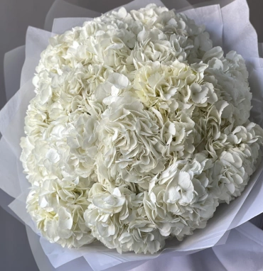 Букет «Облако белая гортензия» 15шт