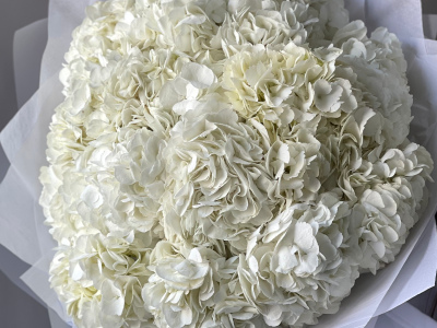 Букет «Облако белая гортензия» 15шт