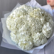 Букет «Облако белая гортензия» 15шт 2