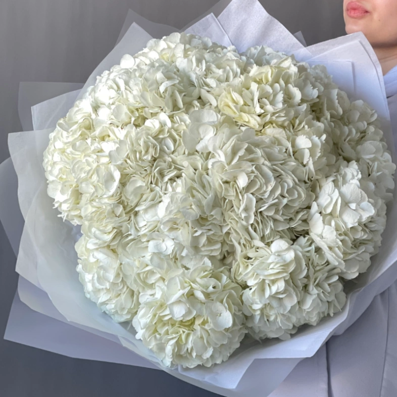 Букет «Облако белая гортензия» 15шт