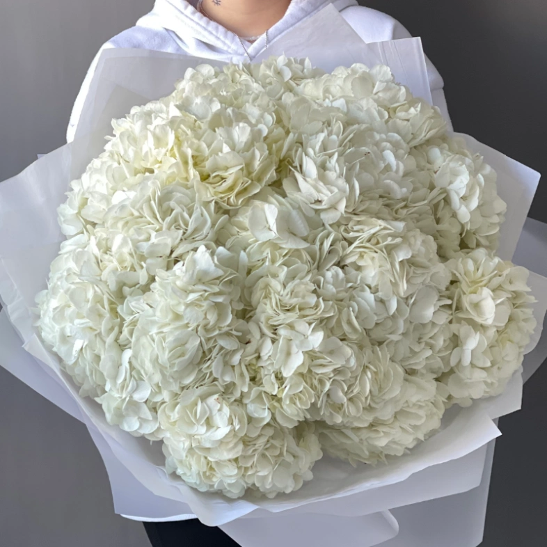 Букет «Облако белая гортензия» 15шт