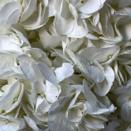 Букет «Облако гортензий» 5шт 3