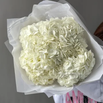 Букет «Облако гортензий» 5шт