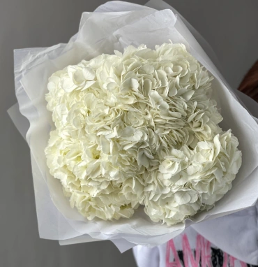 Букет «Облако гортензий» 5шт