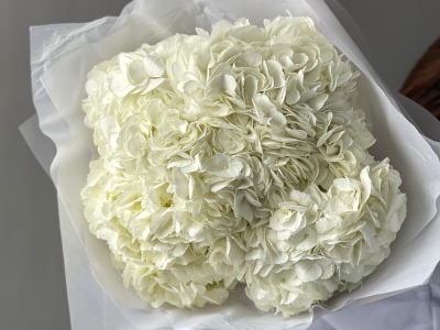 Букет «Облако гортензий» 5шт