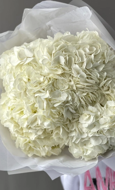 Букет «Облако гортензий» 5шт