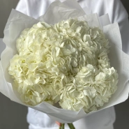 Букет «Облако гортензий» 5шт 1