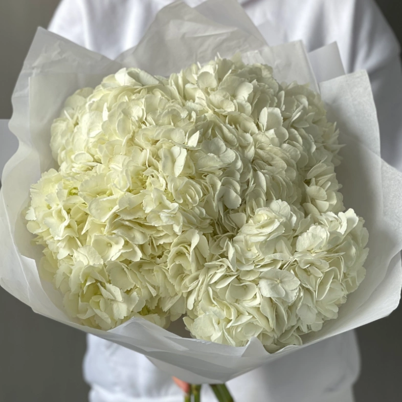 Букет «Облако гортензий» 5шт