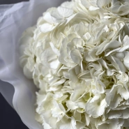 Букет «Облако гортензий» 5шт 2