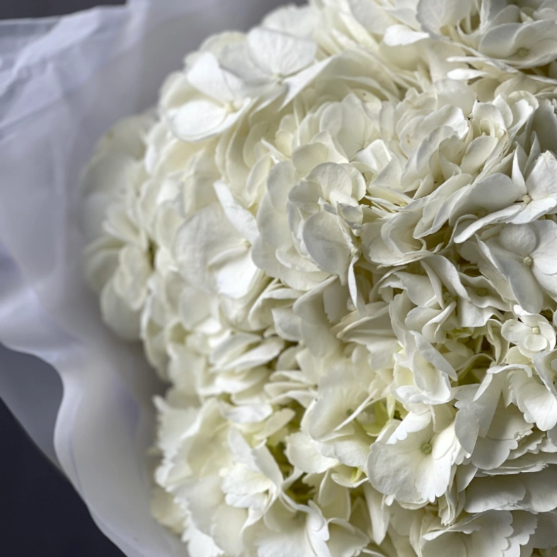 Букет «Облако гортензий» 5шт