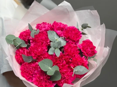 Диантусы яркие сортовые с эвкалиптом 