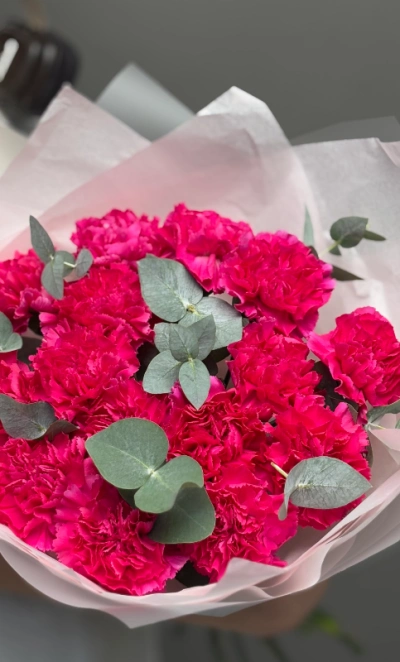 Диантусы яркие сортовые с эвкалиптом 